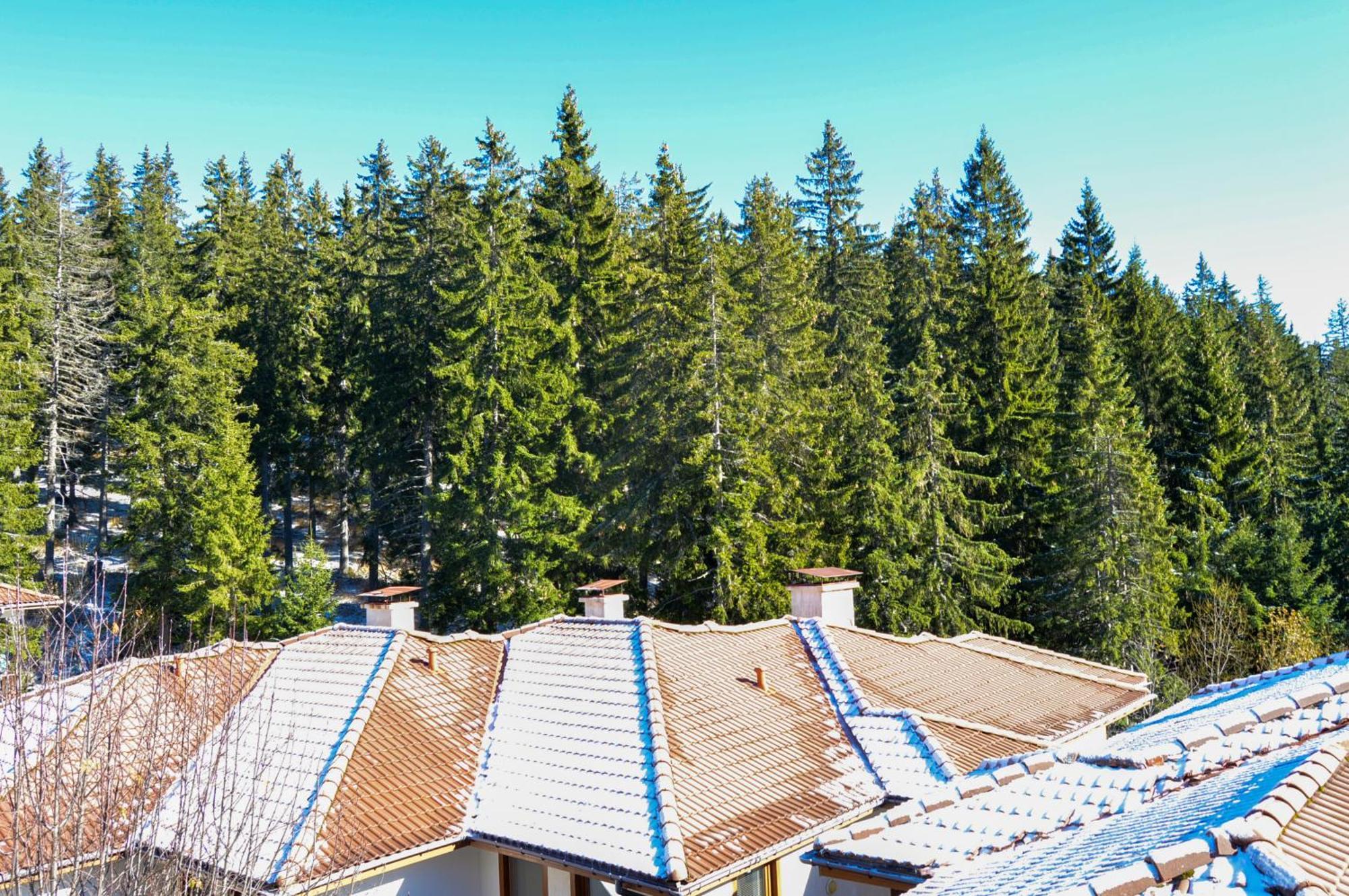 Myplace Pamporovo Апартаменти За Отдих Kültér fotó